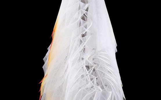 Infinity BIossom I (Revolutions Series), 2010. Photo copyright of Eva Fernandez Photo by Eva Fernandez