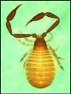 Larca lata from Czech Republic (Image: M. Harvey) Larca lata from Czech Republic (Image: M. Harvey)