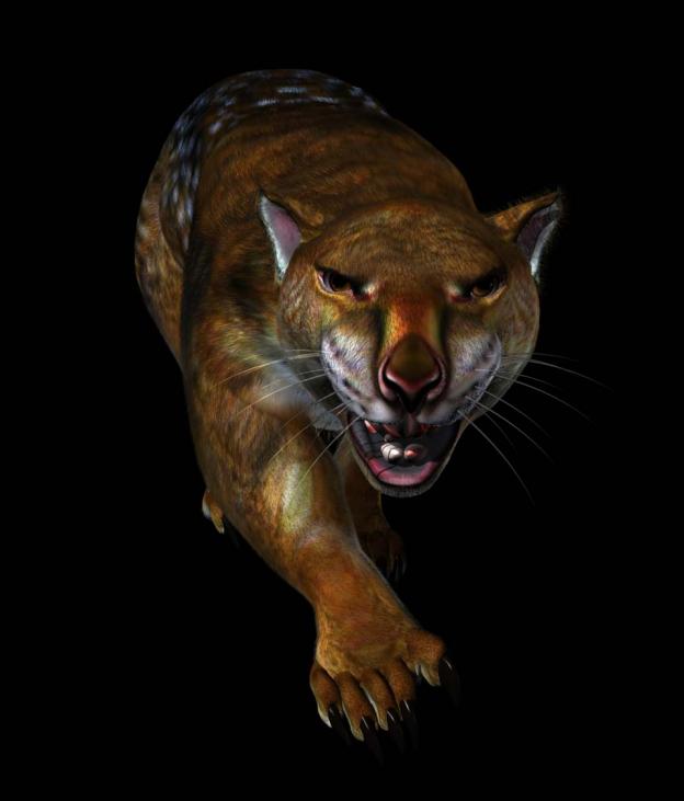 Thylacoleo graphic Artists rendition of a Thylacoleo Carnifex