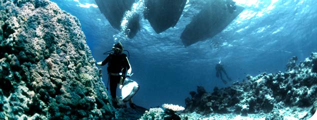 Scuba diver jumping the sea - photographed from the water