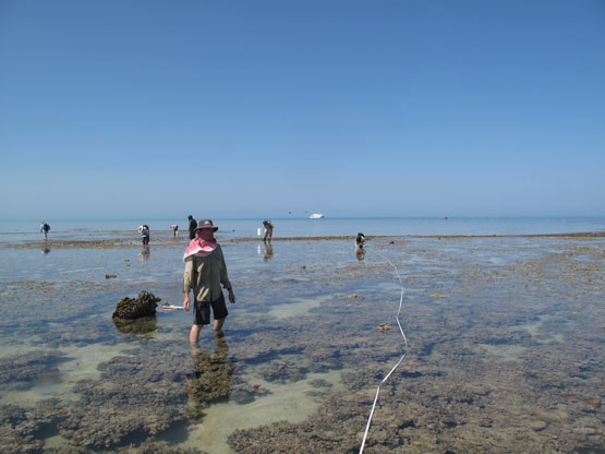 Adele Island Station 3