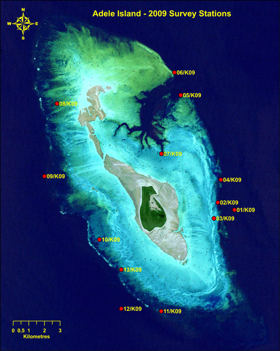 Station locations on Adele Island