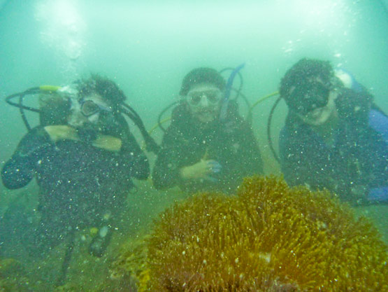 Divers