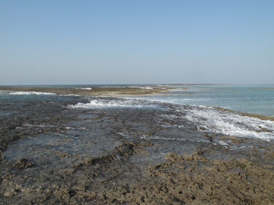 Montgomery Reef Station 20