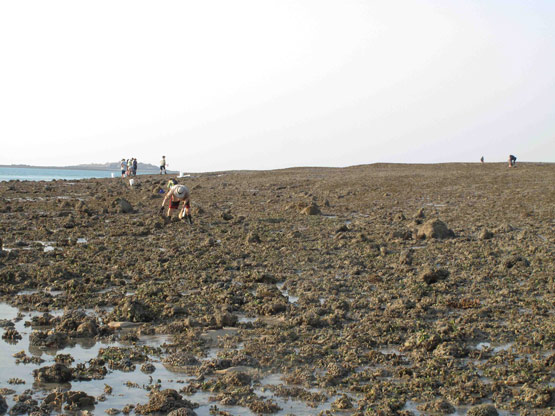 Montgomery Station 14