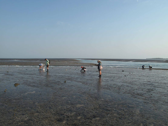 Montgomery Reef Station 21