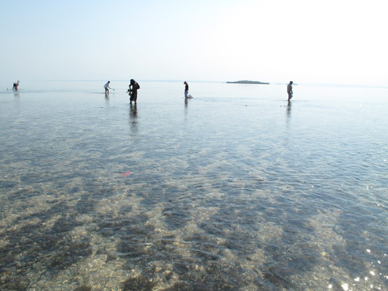 Montgomery Reef Station 22