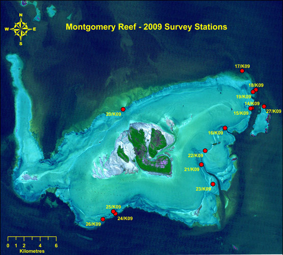 Station locations on Montgomery Reef