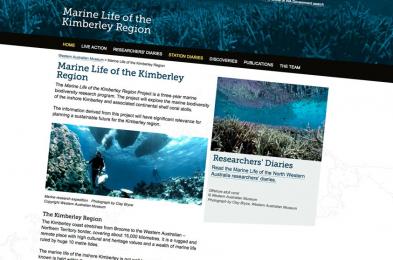 Marine Life of the Kimberley Region Developed by the WA Museum