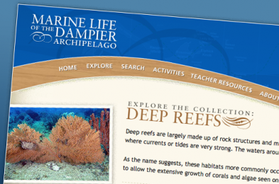 Marine Life of the Dampier Archipelago Developed by the WA Museum