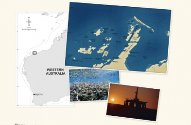 Marine Life of the Dampier Archipelago Developed by the WA Museum