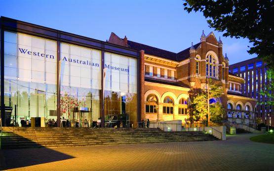 Western Australian Museum — Perth Image copyright of the WA Museum Photo from WA Museum