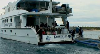 Marine Life of the Kimberley Region - Day 1 Day 1 Video