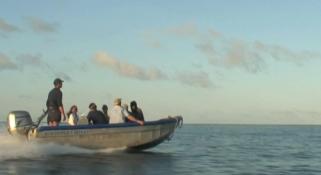 Marine Life of the Kimberley Region - Day 8 Video