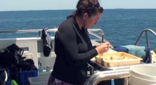 Marine Life of the Kimberley Region - Day 6 Part 1 Video