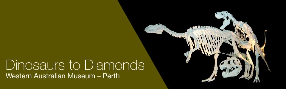 Dinosaurs to Dimonds