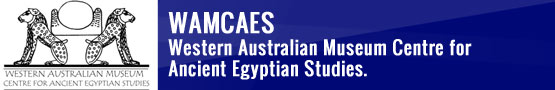 WAMCAES