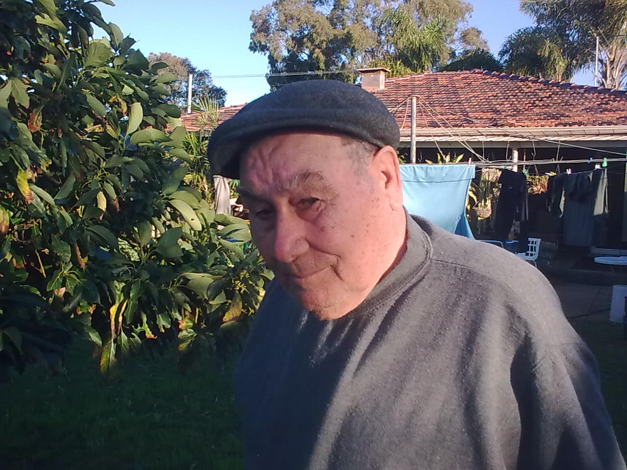 BENEDETTI, Luigi Walls Western Australian Museum